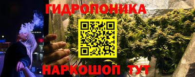 Альфа ПВП Лесосибирск
