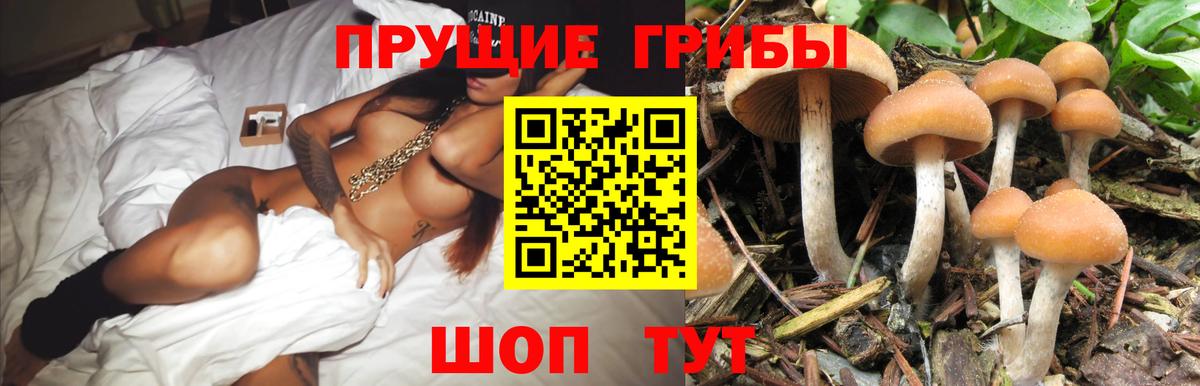 Галлюциногенные грибы мицелий Каспийск